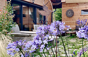 fleur du jardin du gite des granges de saint maurice